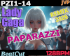 Lady GAGA Paparazzi RmX
