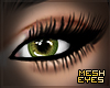 Juvenile | Mesh Eyes