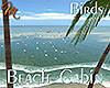 [M] Beach Cabin Birds
