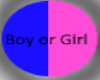 gender reveal BOY