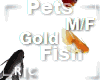 R|C Gold Fish Koi M/F
