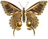 Gold Butterfly