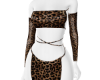 cheetah outfit