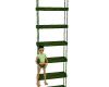 ~Y Forest Ladder