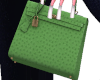 Used Grace Ostrich Bag