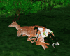 Deer and Doe Animation