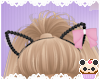 +Black Cat Ears W/Bow