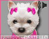 [FC] Westie Pet Pink