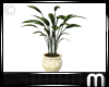 [M] Potted Plant