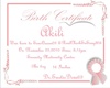 Akili Birth Certificate