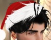 Santa Hat + Hair