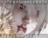 𝒔. aneki