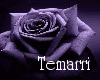 {tem}black vibe
