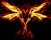 phoenix love