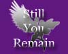 Still You Remain