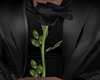 Black Rose