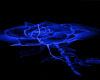Blue Rose