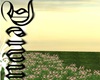 Bundle Spring Field