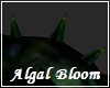 Algal Bloom Elbow Spikes