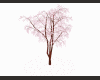 Romantic blossom tree