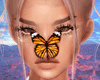 nose butterfly | anim