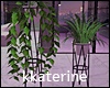 [kk] Plants Set