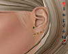 Black Stud earrings