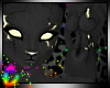 C; Within Fur F