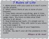 {XYB} 7 Rules Of Life