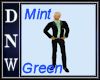 Mint Green Full Suit