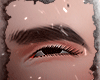 Brows Ebooy V1 寒い