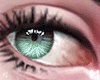 x Eyes 2TONES Green/B <R