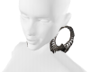 BK EARRS VZ251FG