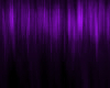 Purple High Ponytail
