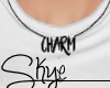 S. Necklace Charm