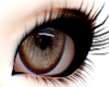 ༺♱coco