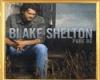 blake shelton home