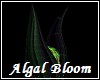 Algal Bloom Horn