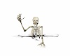 Chaos Skeleton