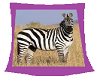 beach towel zebra