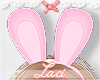 ﾟ✧ pink bunny ears