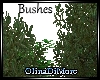 (OD) Bushes
