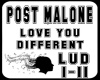 Post Malone-lud