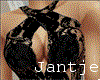 ^J Dinah - SLIM