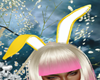 FG~ Bunny Yellow Ears