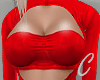 Red Satin Top