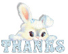 Thank you Bunny