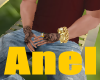 anel