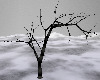 [ZAK] Lonely Dead Tree