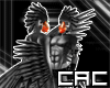 [C.A.C] Puffins M Bird